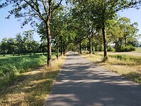 IMG_20230708_090044956
