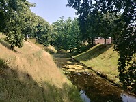 IMG_20230709_133106401_HDR