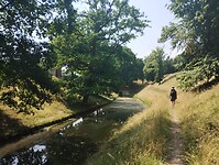 IMG_20230709_132937306