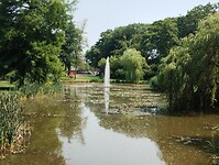 IMG_20230709_131529548