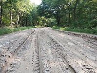IMG_20230709_105631852