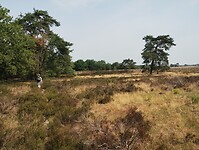 IMG_20230709_104554567