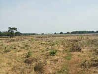 IMG_20230709_104500884