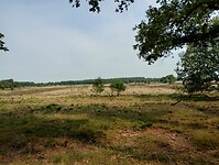IMG_20230709_095312613_HDR