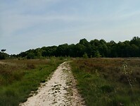IMG_20230709_094458371_HDR