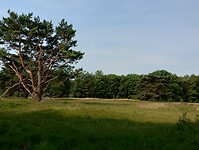 IMG_20230709_094109797_HDR