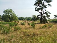 IMG_20230709_093111865