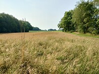 IMG_20230709_092744224_HDR