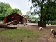 IMG_20230714_140444683_HDR