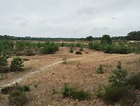 IMG_20230714_132809924