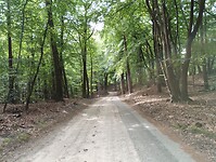 IMG_20230714_120527324
