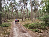 IMG_20230714_115043116