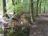 IMG_20230714_113731698