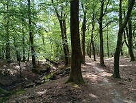 IMG_20230714_111023005_HDR