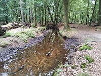 IMG_20230714_110702289