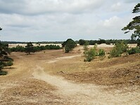 IMG_20230714_103809394