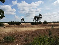 IMG_20230714_102611456