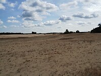 IMG_20230714_102129563