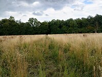 IMG_20230715_132407526_HDR