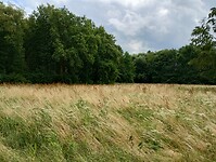IMG_20230715_124815031_HDR