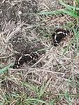 IMG_20230715_121742036