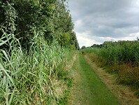 IMG_20230715_121444354_HDR