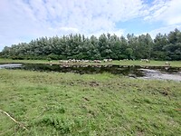 IMG_20230715_113230459_HDR