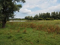 IMG_20230715_112327030