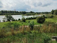 IMG_20230715_111507185