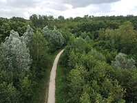 IMG_20230715_105414992