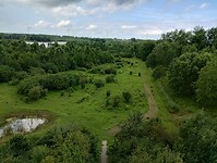 IMG_20230715_105357727_HDR