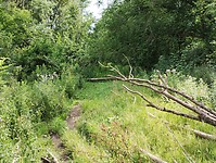 IMG_20230715_104441519