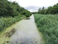 IMG_20230715_100524369