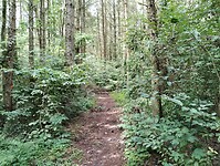 IMG_20230804_143515672