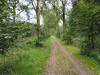 IMG_20230804_141151385