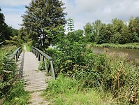 IMG_20230804_133427787
