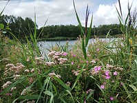 IMG_20230804_122700430