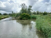 IMG_20230804_114226348_HDR