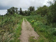 IMG_20230804_113639685