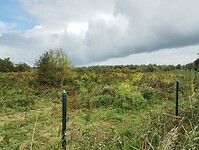IMG_20230804_113633896
