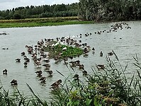IMG_20230804_112052995