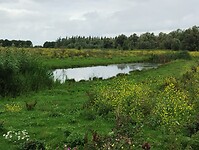IMG_20230804_105933104