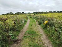 IMG_20230804_105732018