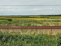 IMG_20230804_102458041