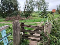 IMG_20230804_100734833