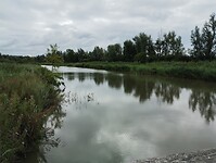 IMG_20230804_100659752