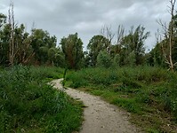 IMG_20230804_100246552_HDR