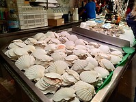 IMG_20231103_162717766_HDR