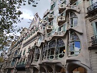 IMG_20231103_143313659