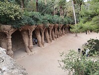 IMG_20231104_104208625